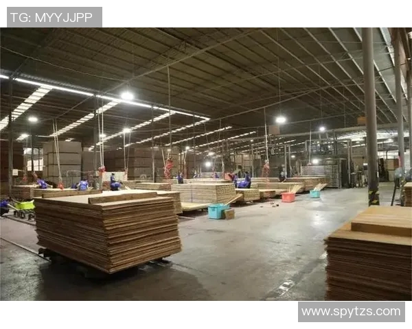 重庆排球队防守革新之路：从传统到现代的转型与突破